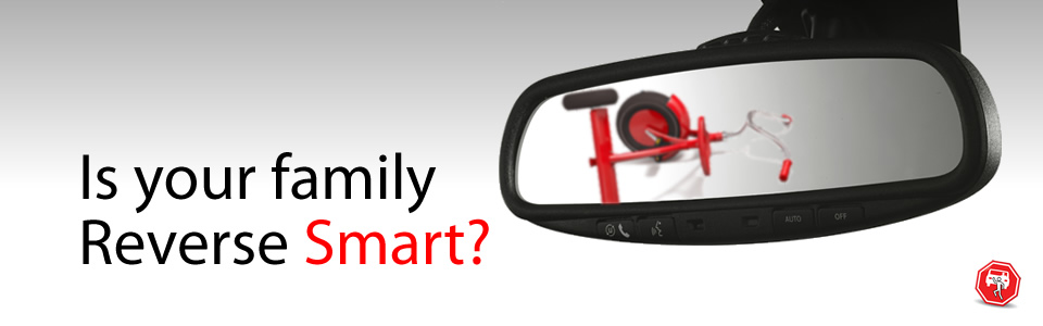 Is your family Reverse Smart?